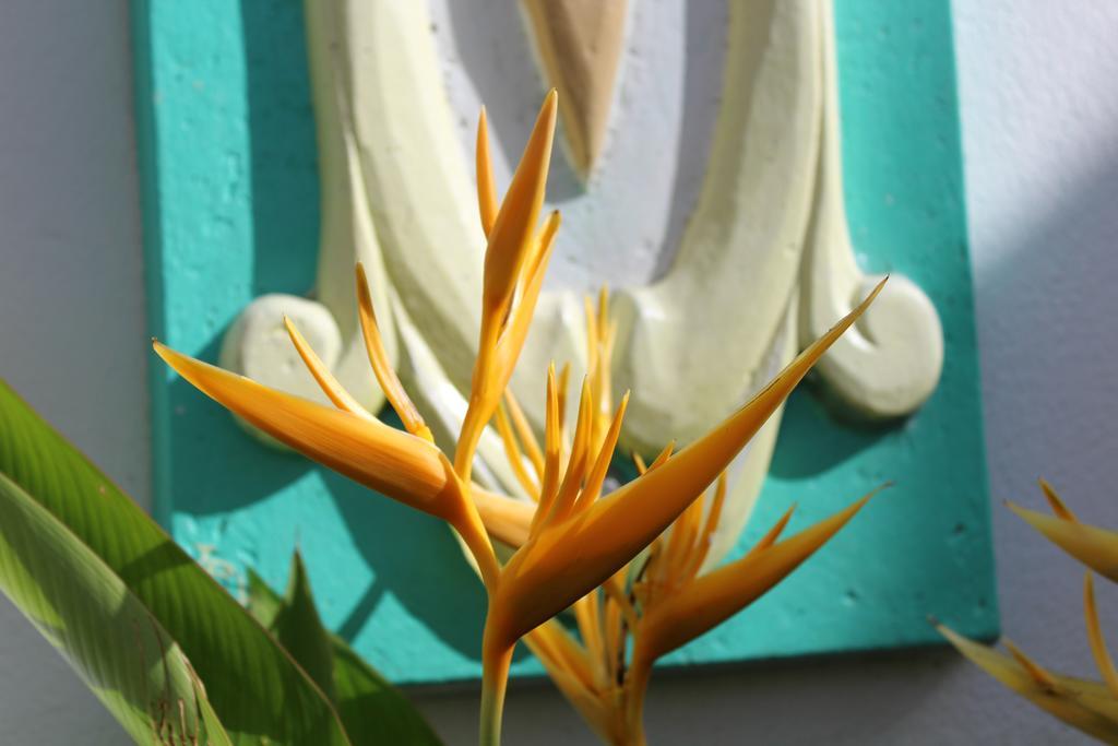 Oasis De Grande Anse Villa เดเอ ภายนอก รูปภาพ